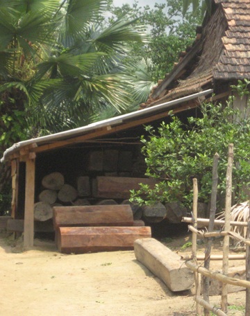 Đường về xuôi ào ạt của gỗ rừng nguyên sinh - 1