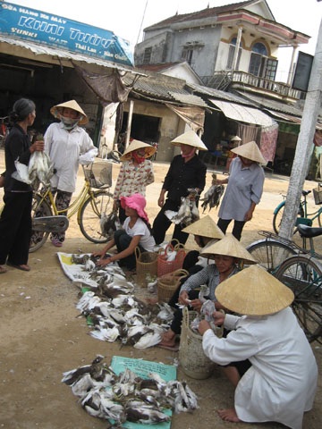 Phóng sự ảnh: Thương lắm cò ơi! - 12