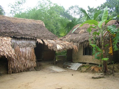 Cụ bà sợ... chết mà không ai biết - 1