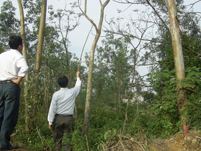 Một thanh niên treo cổ trên cành cây - 1