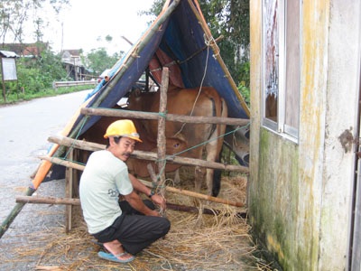 Mưa lũ phức tạp, Hà Tĩnh lo lũ quét - 8