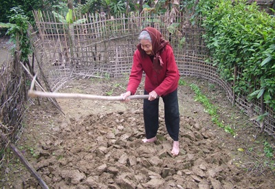 Nỗi bất hạnh của cụ bà không có người thân - 1