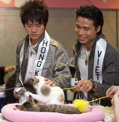 Ngô Tiến Đoàn đăng quang Mỹ nam quốc tế 2008 - 11 Ngô Tiến Đoàn đăng quang Mỹ nam quốc tế 2008 - 11