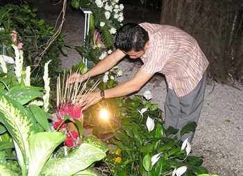 Gần 8.000 người tới dự đêm nhạc Trịnh - 5