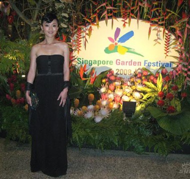 Châu Tấn được mời dùng bữa với tổng thống Singapore - 1 Châu Tấn được mời dùng bữa với tổng thống Singapore - 1