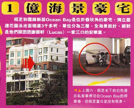 Trương Bá Chi được chào mời trở lại làng giải trí - 3 Trương Bá Chi được chào mời trở lại làng giải trí - 3