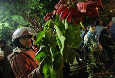 Những điều ước đầu năm - 6