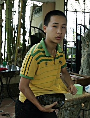 Câu rùa Hồ Gươm - 5 Câu rùa Hồ Gươm - 5