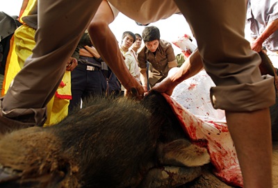 Sập cầu dao - Thắng cũng như bại! - 10