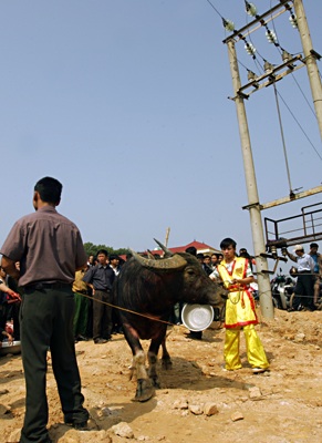 Sập cầu dao - Thắng cũng như bại! - 5