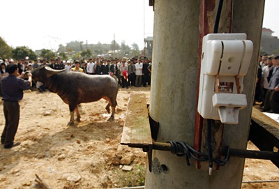 Sập cầu dao - Thắng cũng như bại! - 7