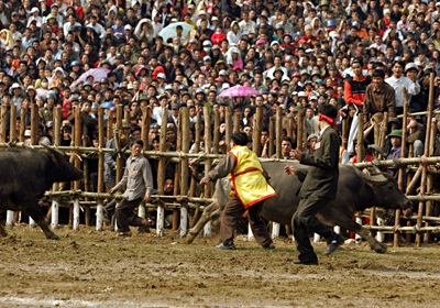 Sập cầu dao - Thắng cũng như bại! - 4