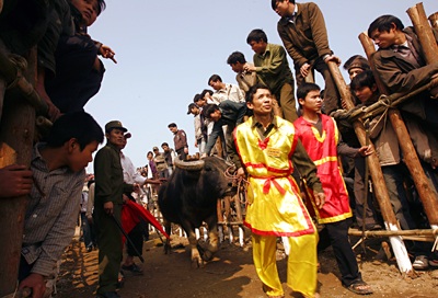 Sập cầu dao - Thắng cũng như bại! - 2