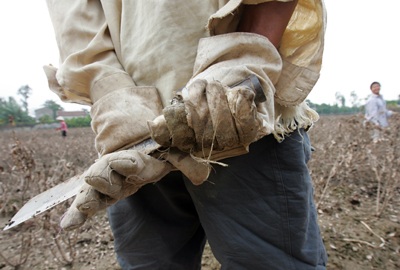 Tây Tựu “hoa không còn lấy một bông” - 12