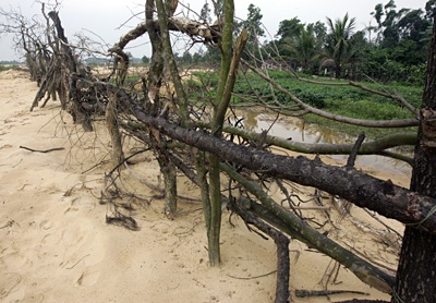 Nơi vàng đen đi qua - 7