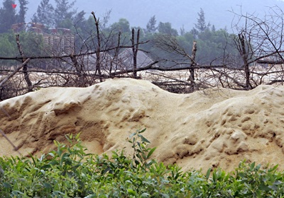 Nơi vàng đen đi qua - 8