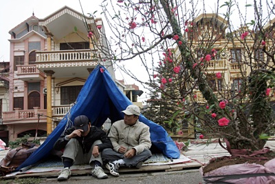 Vườn xuân đã sẵn sàng - 12