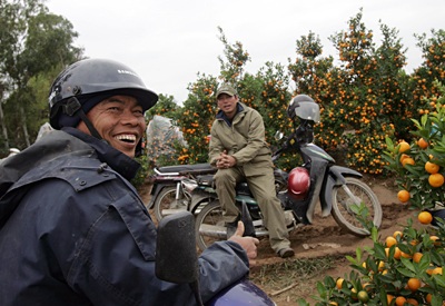 Vườn xuân đã sẵn sàng - 13