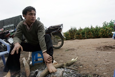 Vườn xuân đã sẵn sàng - 2