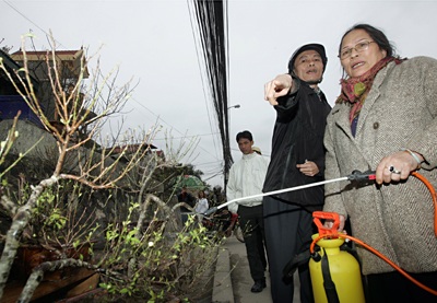 Vườn xuân đã sẵn sàng - 11