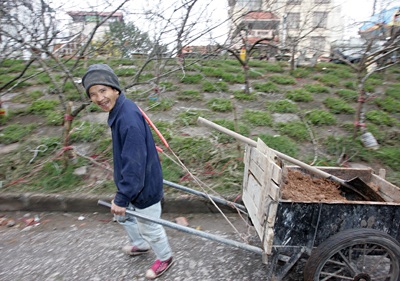 Vườn xuân đã sẵn sàng - 8