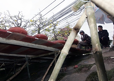 Vườn xuân đã sẵn sàng - 7