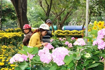 Sài Gòn ngập sắc hoa - 1 Sài Gòn ngập sắc hoa - 1