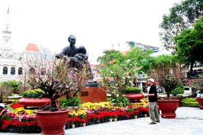 Sài Gòn ngập sắc hoa - 7 Sài Gòn ngập sắc hoa - 7