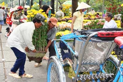 Sài Gòn ngập sắc hoa - 10 Sài Gòn ngập sắc hoa - 10