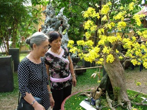 Hội hoa Xuân thu hút hàng trăm ngàn khách - 2