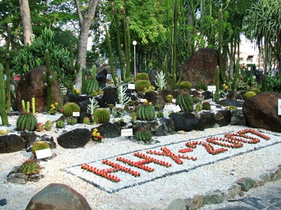 Hội hoa xuân TPHCM rực rỡ sắc màu - 2