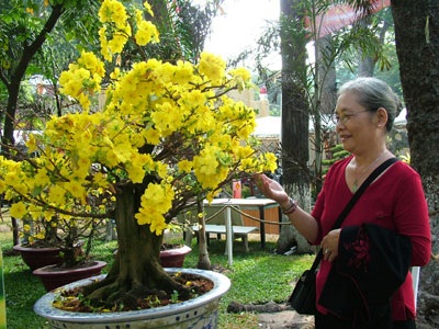 Hội hoa xuân TPHCM rực rỡ sắc màu - 13