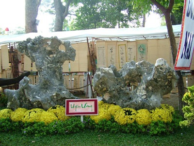 Hội hoa xuân TPHCM rực rỡ sắc màu - 14