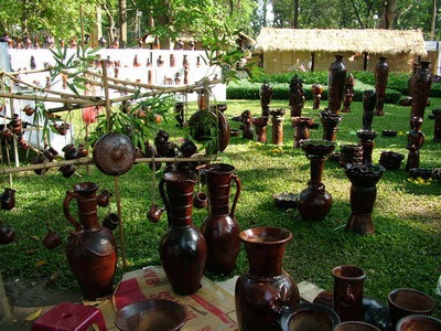 Hội hoa xuân TPHCM rực rỡ sắc màu - 5