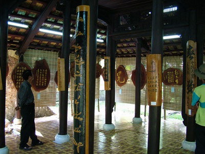 Hội hoa xuân TPHCM rực rỡ sắc màu - 9