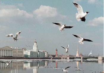St Petersburg - Cố đô nước Nga - 9 St Petersburg - Cố đô nước Nga - 9