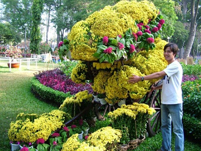 Hội hoa xuân TPHCM rực rỡ sắc màu - 16