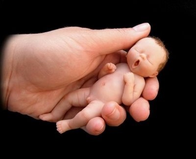 Kinh ngạc những “thiên thần” bánh - 9 Kinh ngạc những “thiên thần” bánh - 9