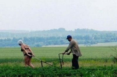 Chùm ảnh: Những điều độc nhất vô nhị trên thế giới - 3