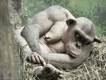 Chàng tinh tinh “trần như nhộng” - 2