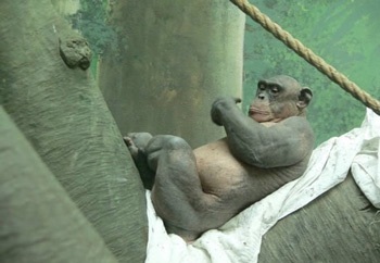 Chàng tinh tinh “trần như nhộng” - 4