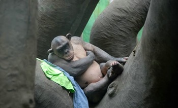 Chàng tinh tinh “trần như nhộng” - 5