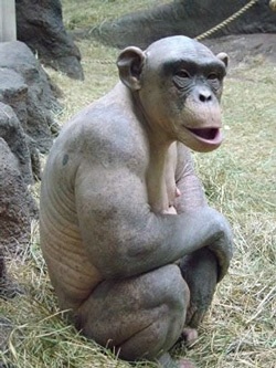 Chàng tinh tinh “trần như nhộng” - 6