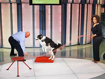 Những màn trình diễn kỷ lục trong năm mới - 2 Những màn trình diễn kỷ lục trong năm mới - 2