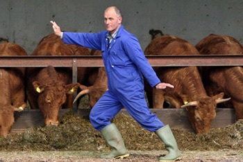 Thái cực quyền để tăng... sản lượng sữa - 1 Thái cực quyền để tăng... sản lượng sữa - 1