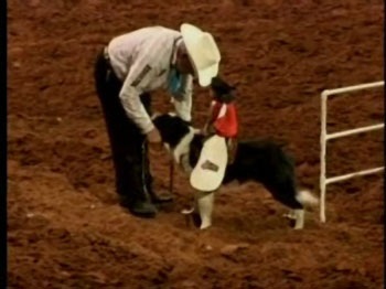 “Siêu sao” khỉ cao bồi  - 1