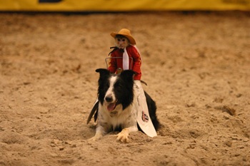 “Siêu sao” khỉ cao bồi  - 5