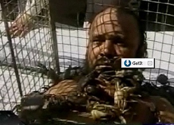 "Mát-xa" với cua  - 2