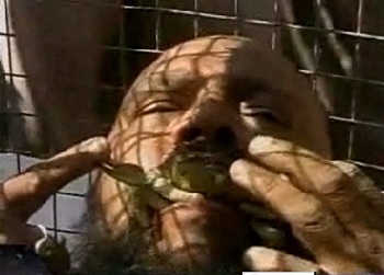 "Mát-xa" với cua  - 3