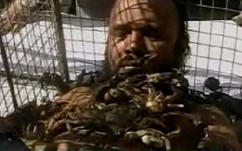 "Mát-xa" với cua  - 6